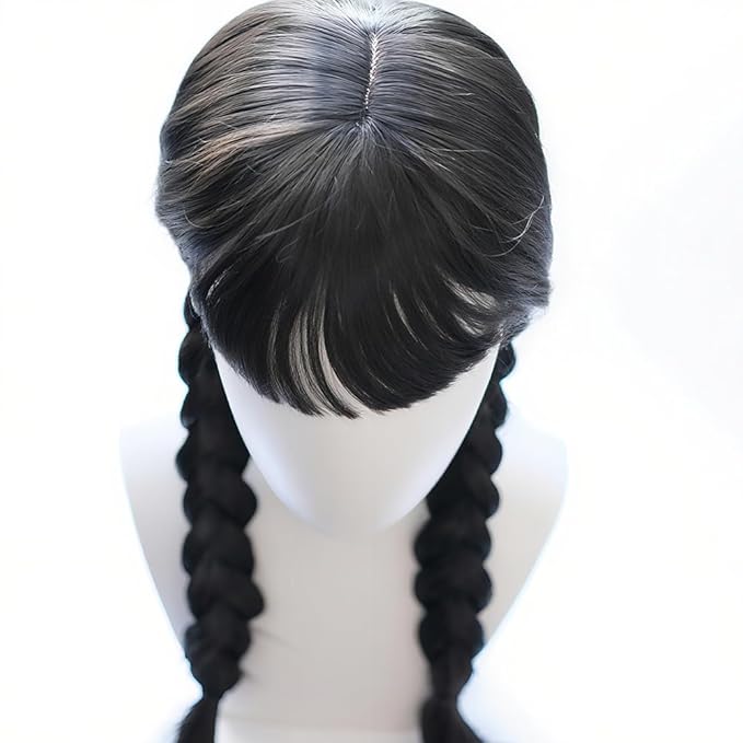 Long Black Braided Wig