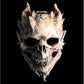 Full Head Skull Mask