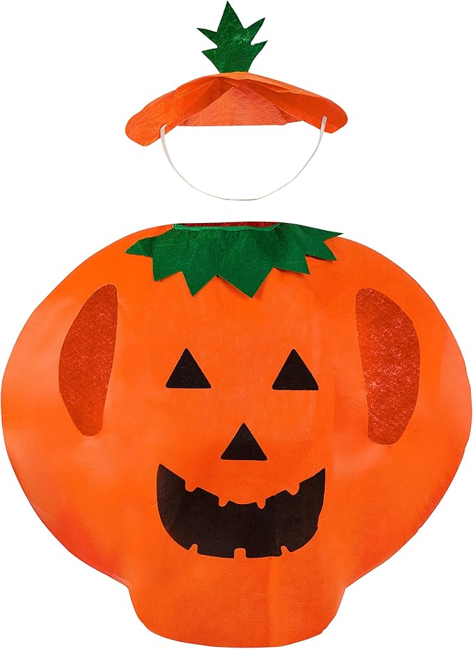 Pumpkin Funny Costume