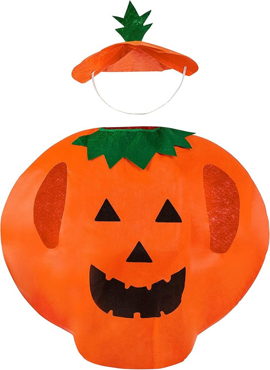 Pumpkin Funny Costume