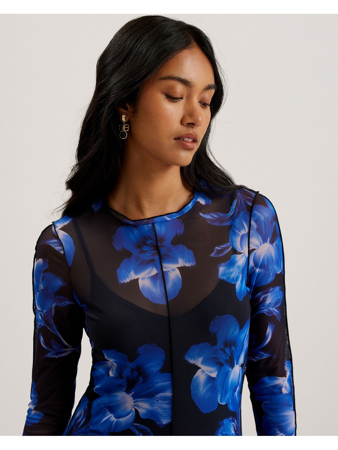 Mesh Long Sleeve Printed Dress