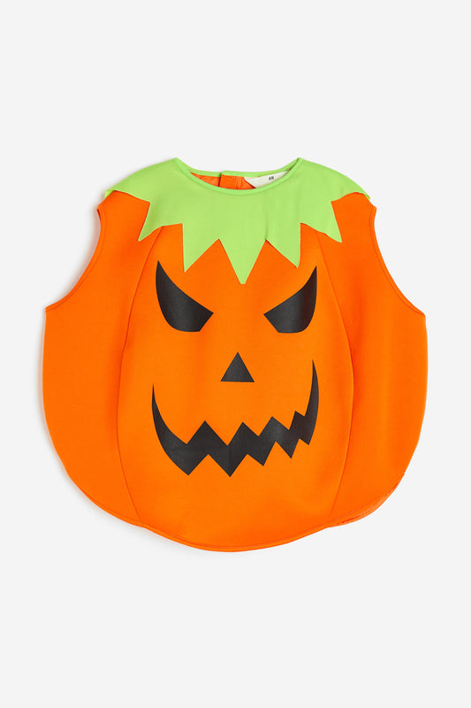 Fancy Pumpkin Costume